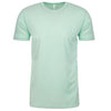 n6210-next-level-mint-crew-tee