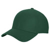 ne1121-new-era-forest-cap