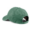 145-anvil-forest-pigment-cap