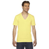 2456-american-apparel-lemon-v-neck