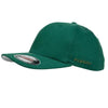 au-6277y-flexfit-green-youth-perma-curve-cap