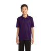 au-y540-port-authority-purple-polo