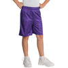 au-yst510-sport-tek-purple-mesh-short